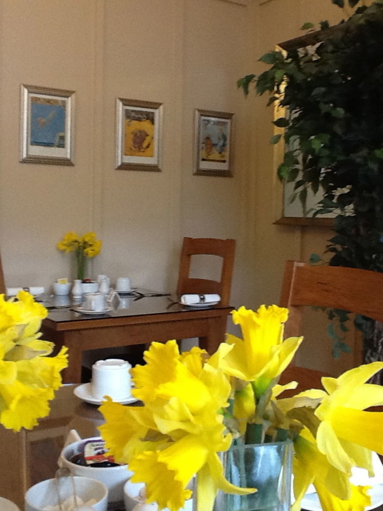 The Groveside Guest House Sidmouth Exterior foto